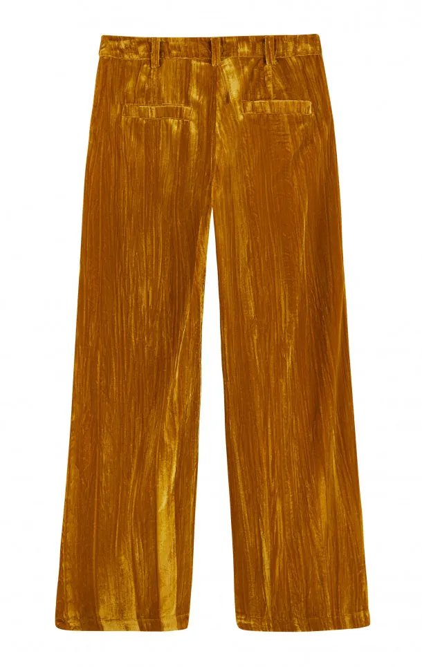 Wild - Velvet Trouser  - Koffi